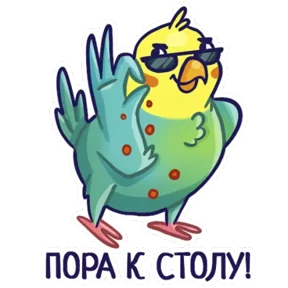 Попугайчики — стикер для MAX