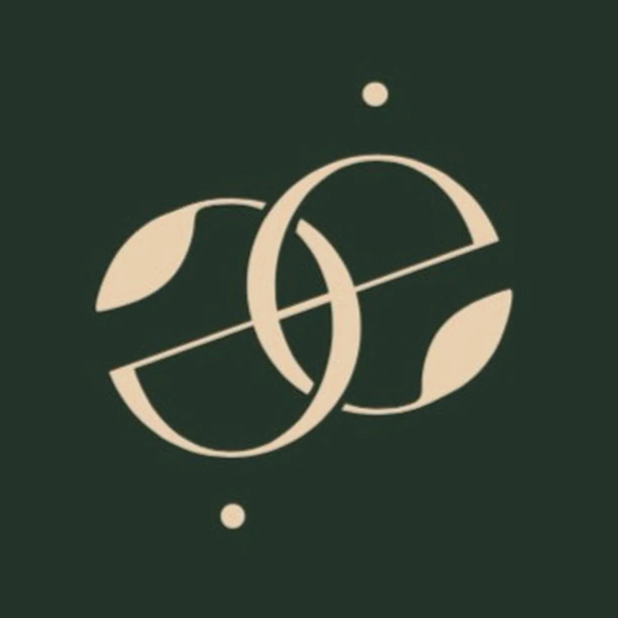 «Ёлкабукет»
студия цветов и подарков